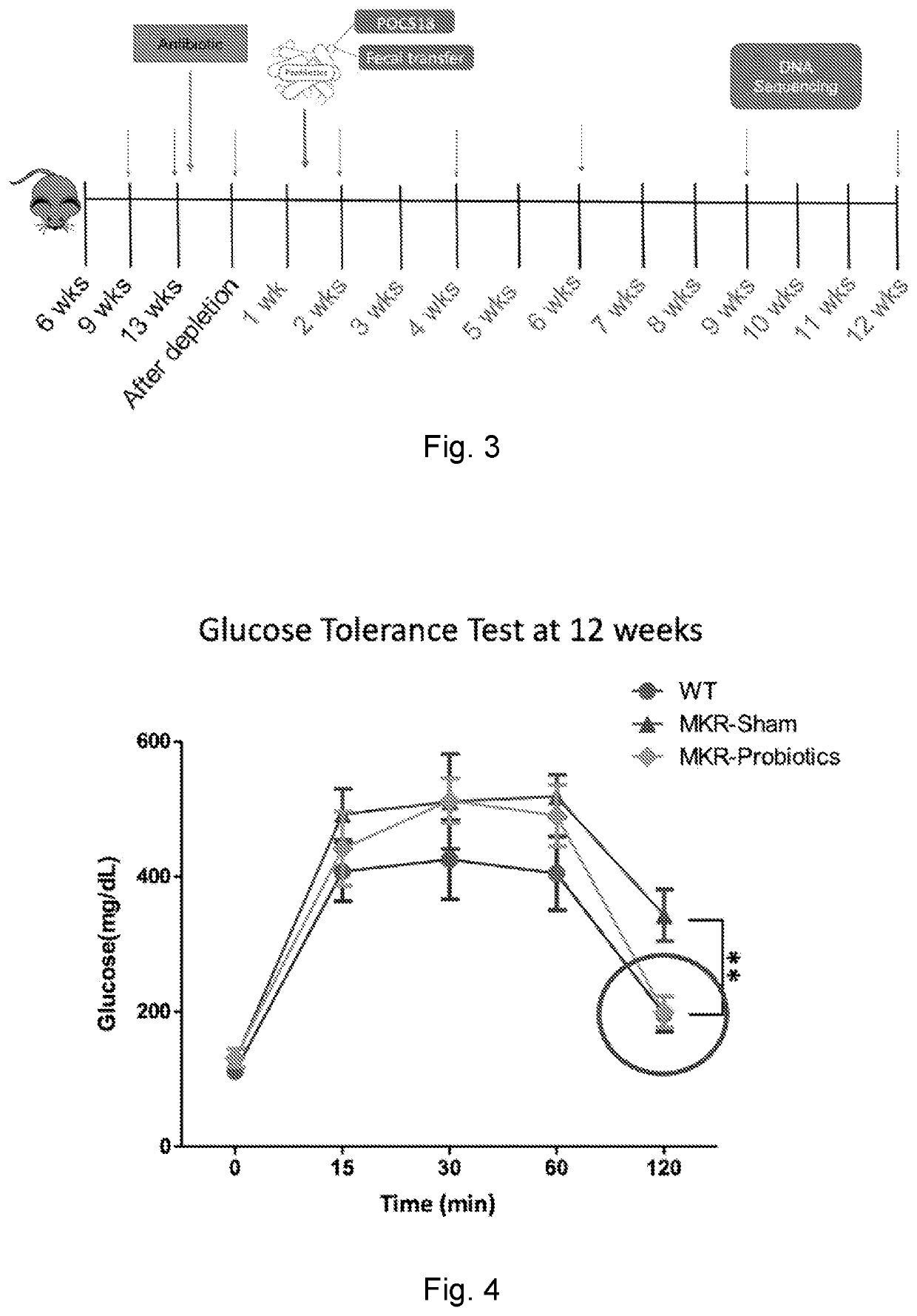 Probiotic compositions and methods of use