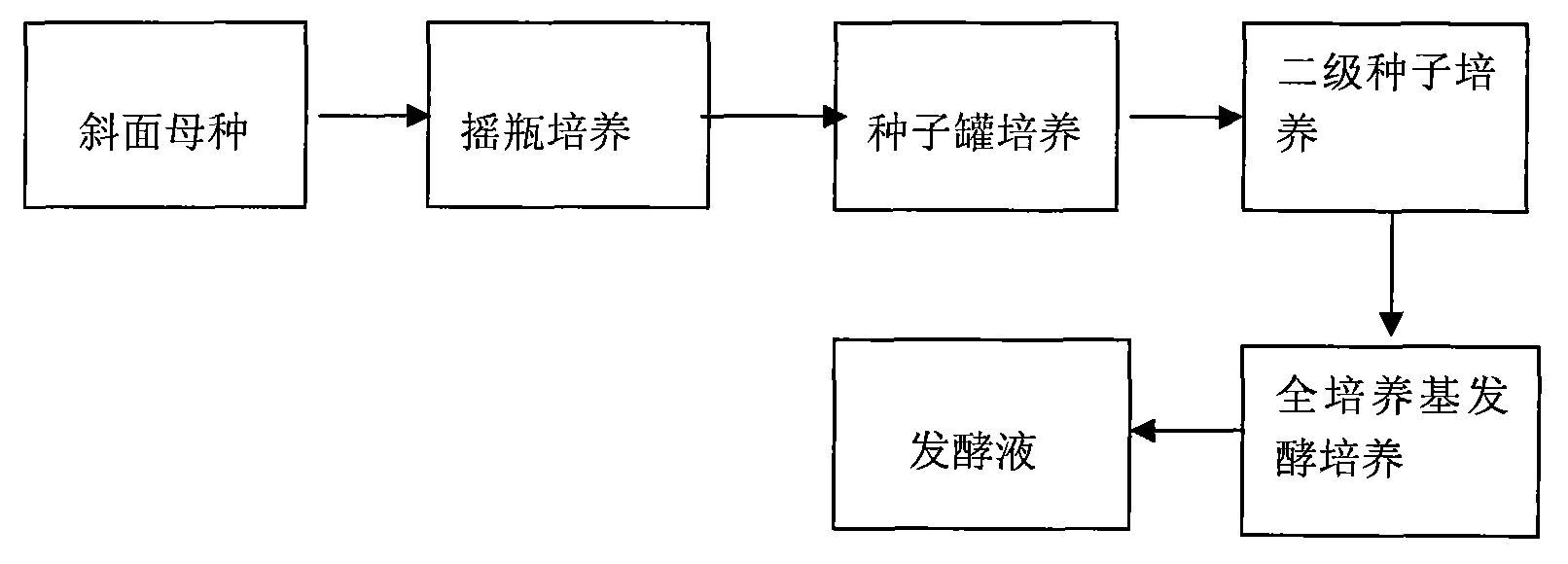 Fermentation method for producing high viscocity xanthan gum by xanthomonas campestris