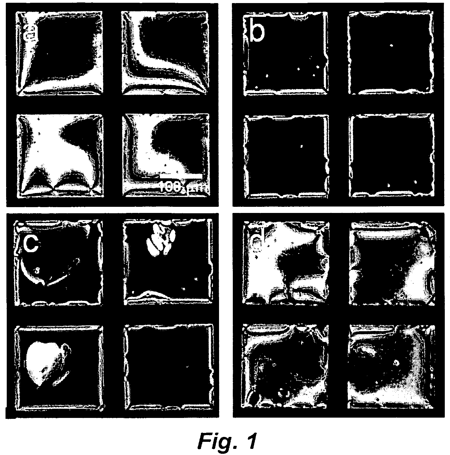 Methods and devices for detecting nucleic acid hybridization