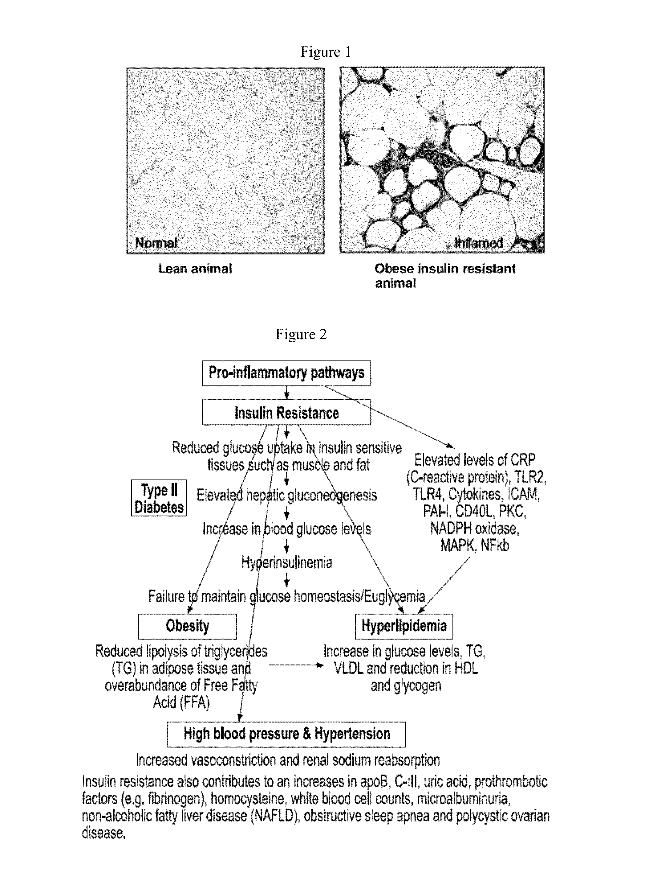 Formulations and methods for treatment of metabolic syndrome