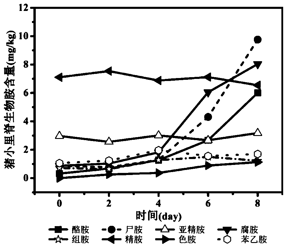 Biogenic amine-based pork freshness evaluation method