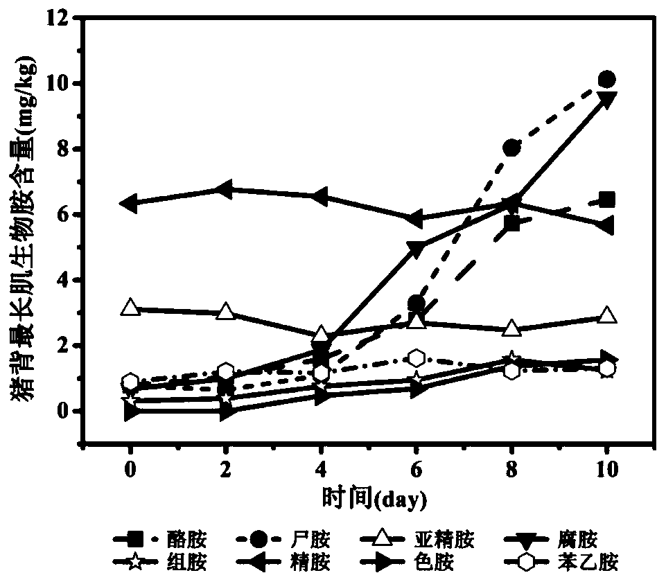 Biogenic amine-based pork freshness evaluation method