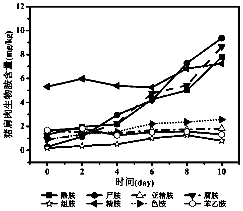 Biogenic amine-based pork freshness evaluation method