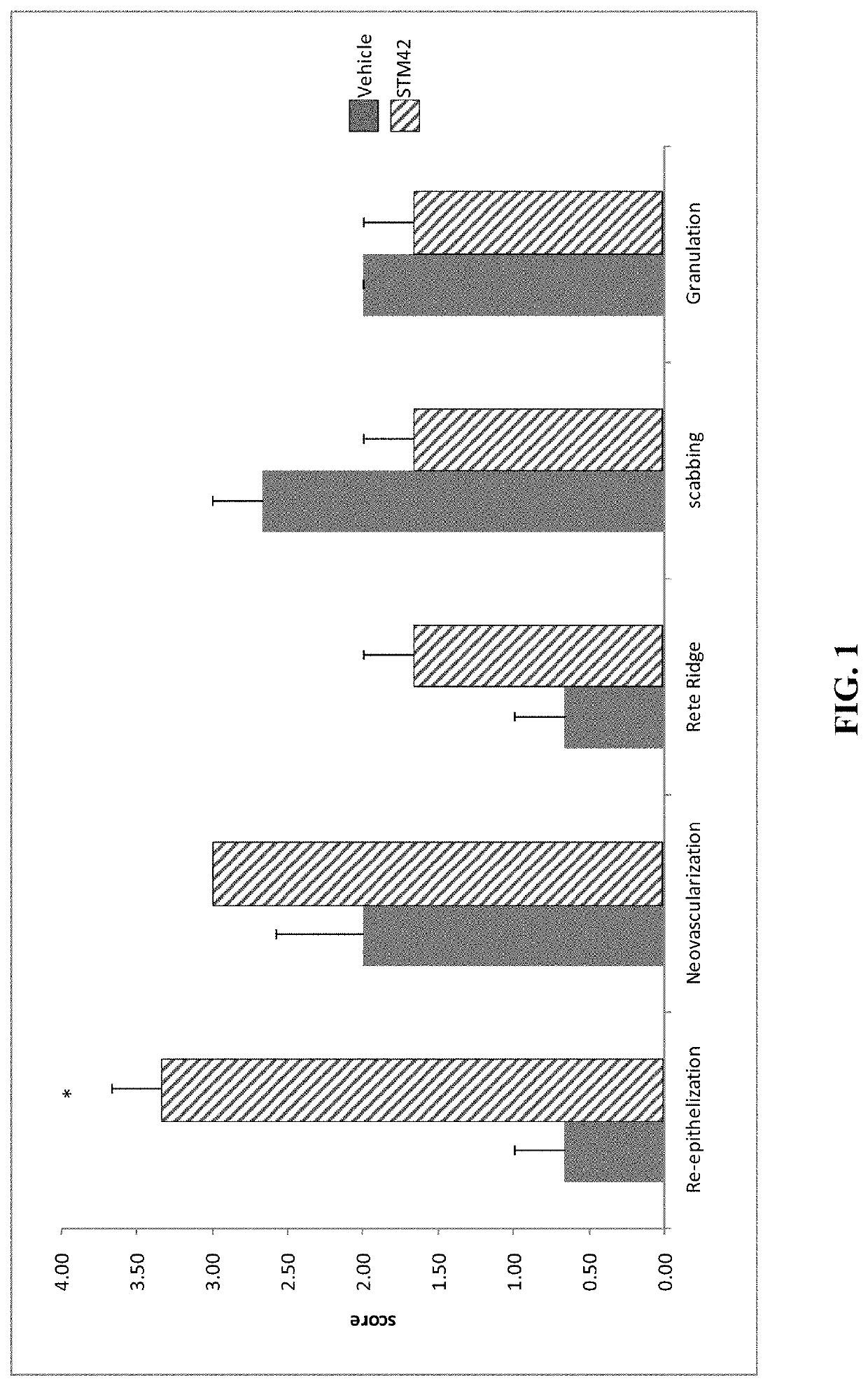 Compositions and Methods for Wound Treatment