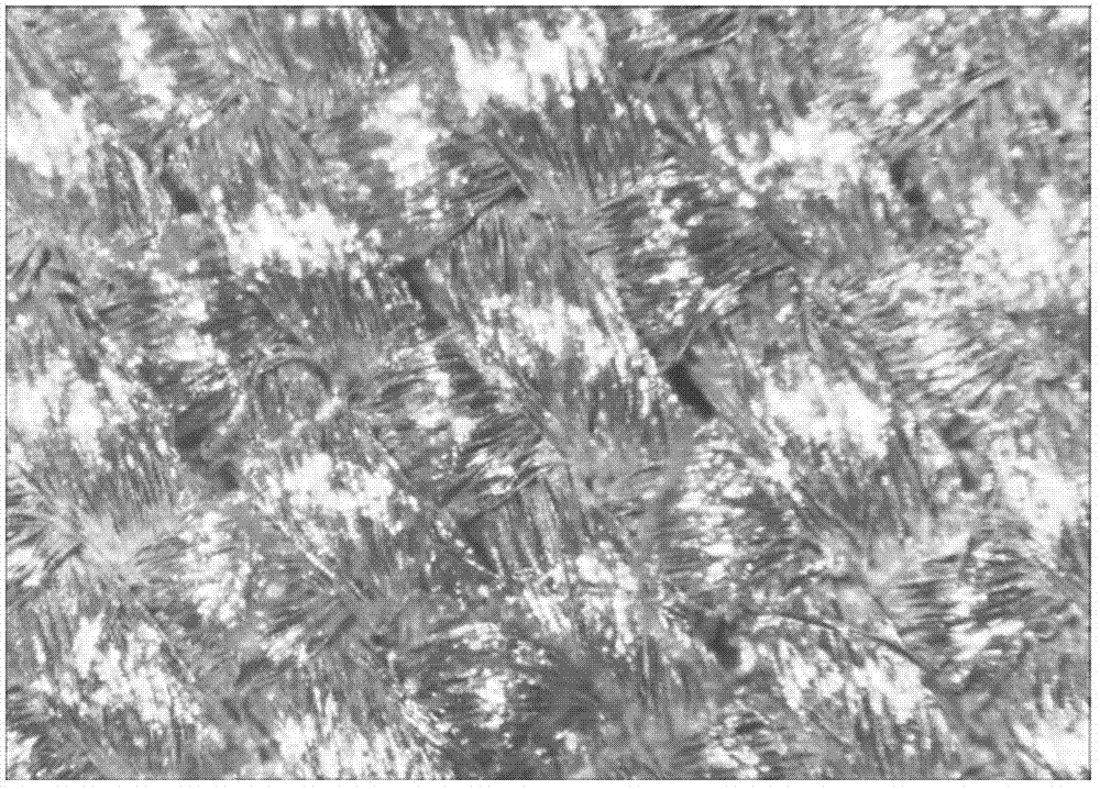 Wearable flexible sensor and making method thereof