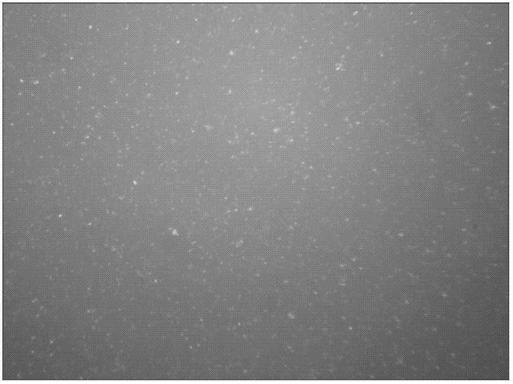 Wearable flexible sensor and making method thereof