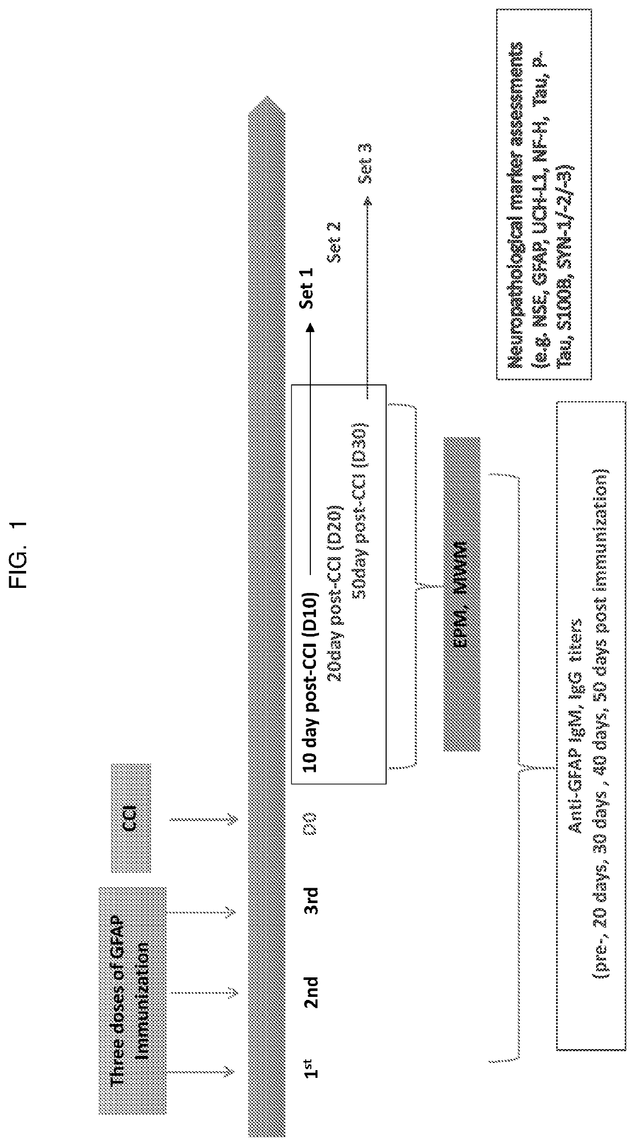 Glial fibrillary acidic protein targeting immuno- and aptamer-based-therapy for neuroinjury, neurodegeneration, neuro-disease, and neuro-repair