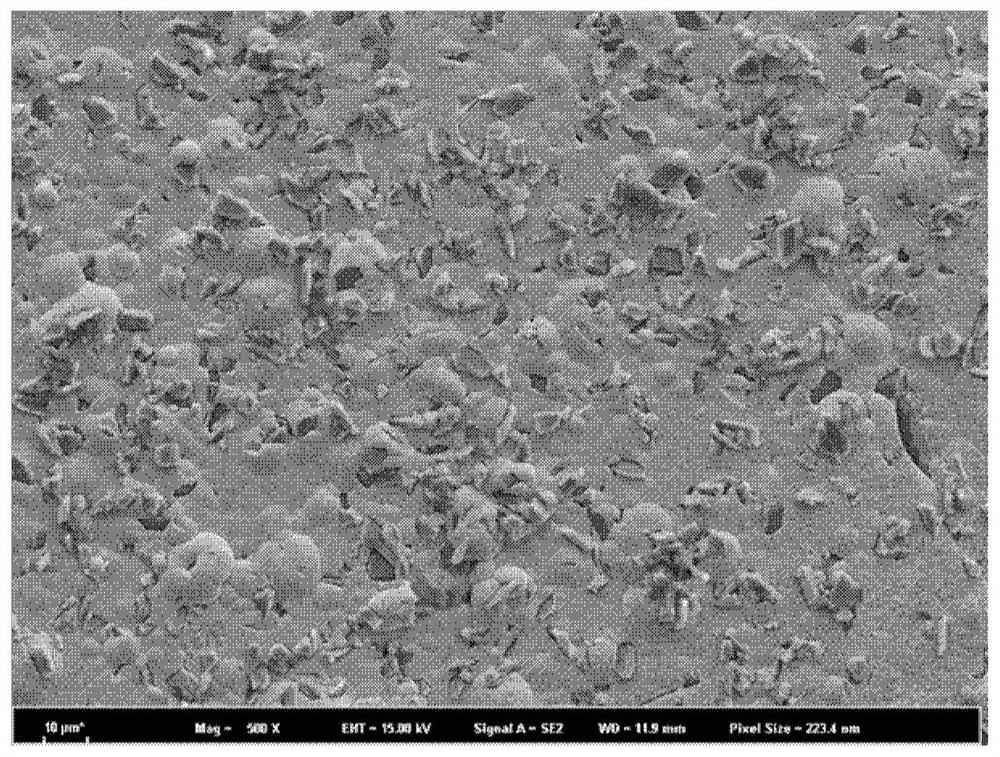 Composite coating with micron-scale roughness, preparation method and application