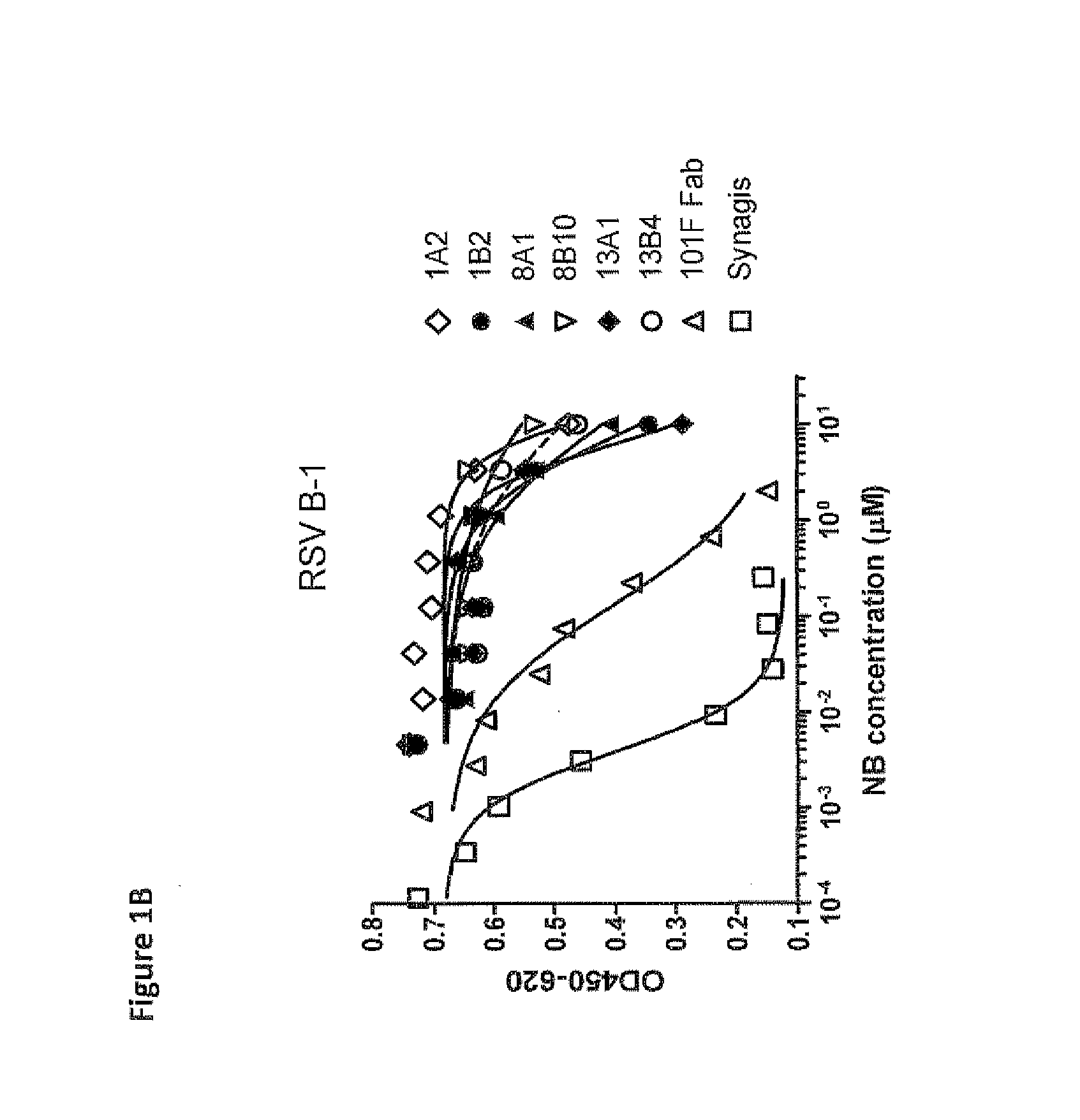 Amino acid sequences directed against human respiratory syncytial virus (HRSV) and polypeptides comprising the same for the prevention and/or treatment of respiratory tract infections