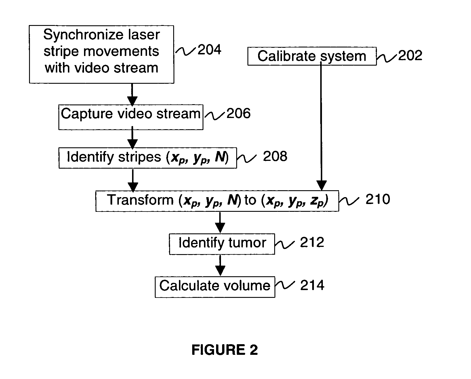 Methods and systems for measuring the size and volume of features on live tissues