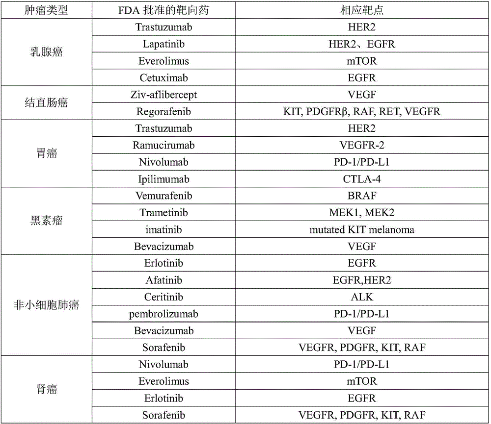 Kit for guiding medication of tumor targeted drug