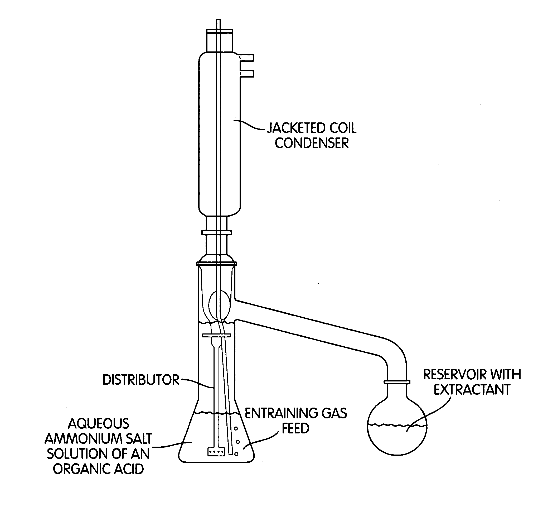 Reactive Extraction of Free Organic Acids from the Ammonium Salts Thereof