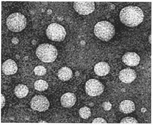 Preparation method of urushiol-loading pH responsive amphiphilic copolymer micelle