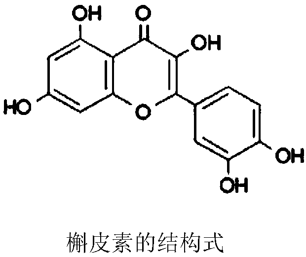 Quercetin eye drops and preparation method thereof