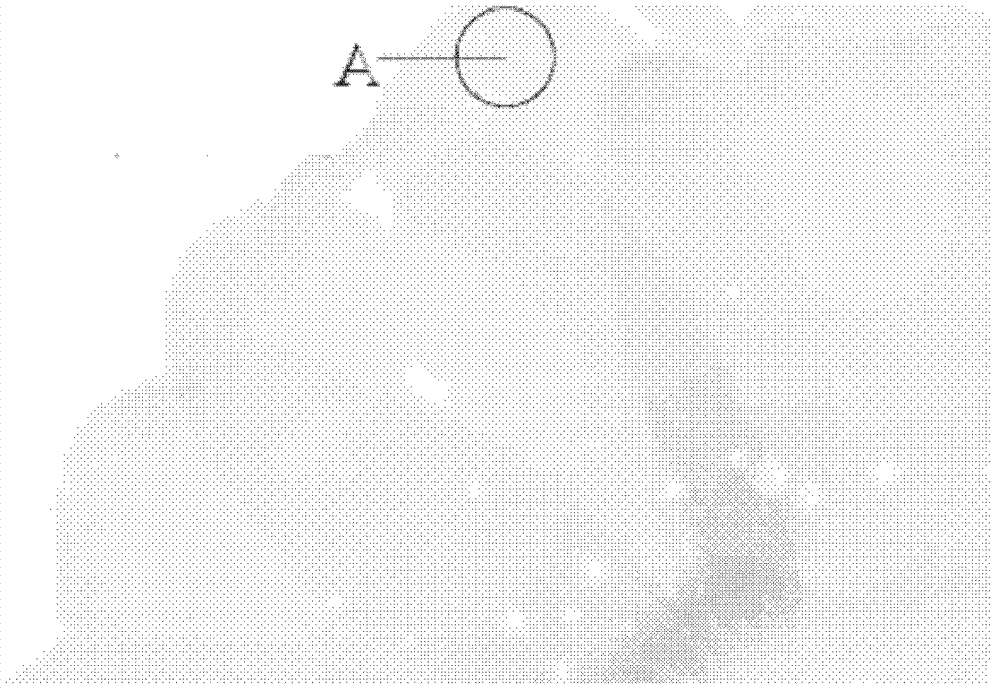 Screen printing method and decorative panels produced through same