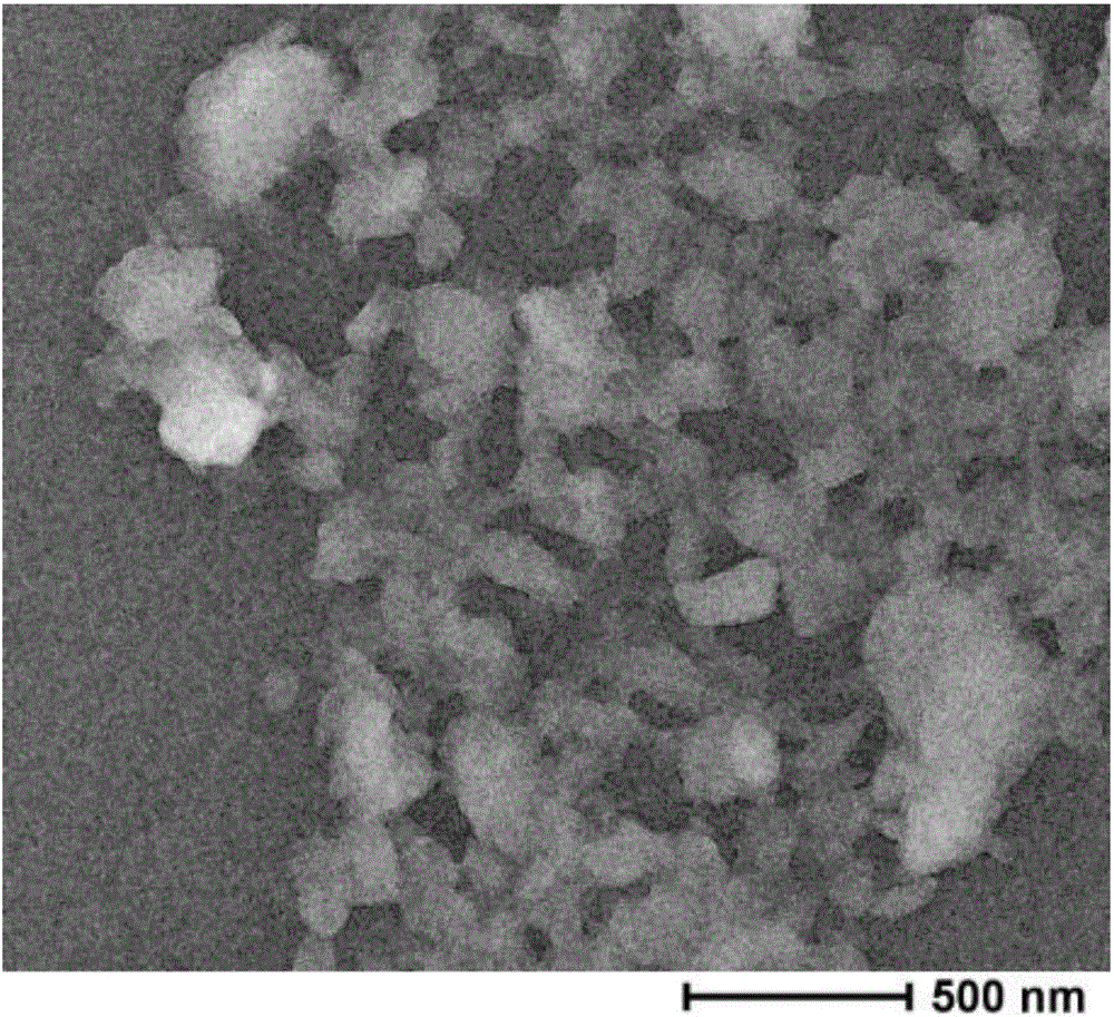 Breviscapine-panax notoginseng saponins double-pharmaceutical nano-composite particle and preparation method and application thereof