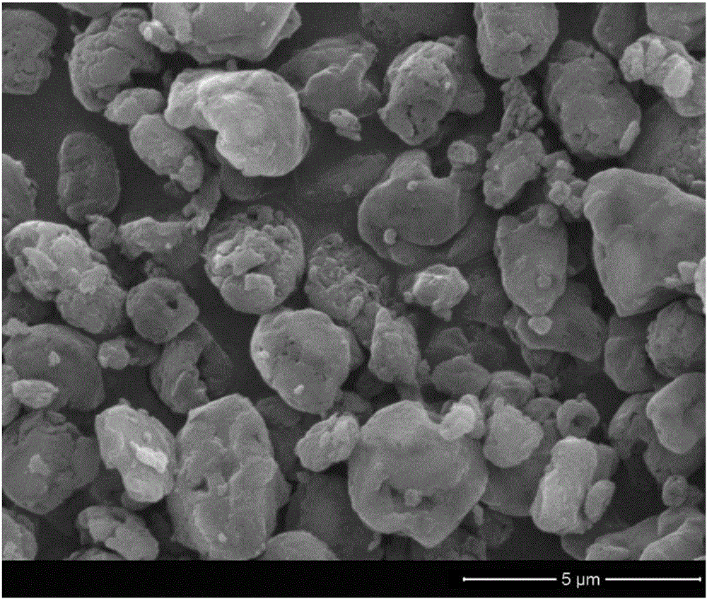 Breviscapine-panax notoginseng saponins double-pharmaceutical nano-composite particle and preparation method and application thereof