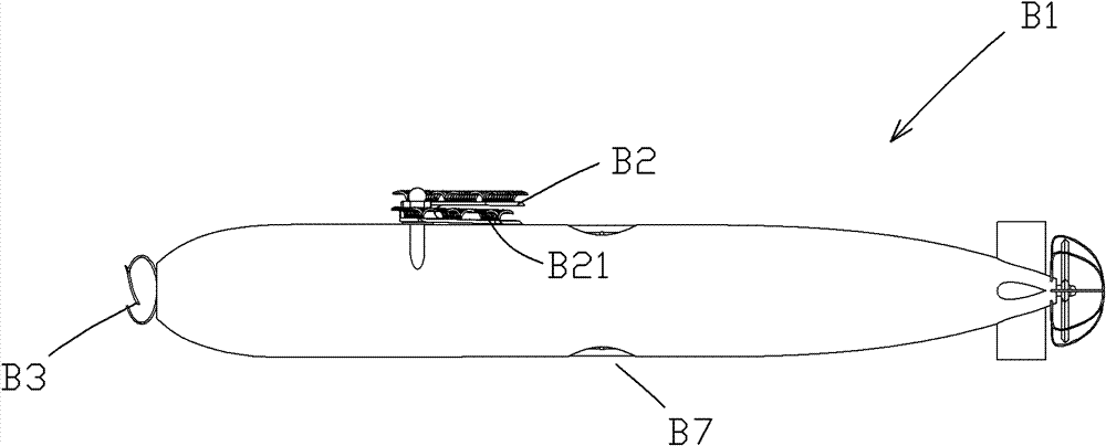 Marine rescue system