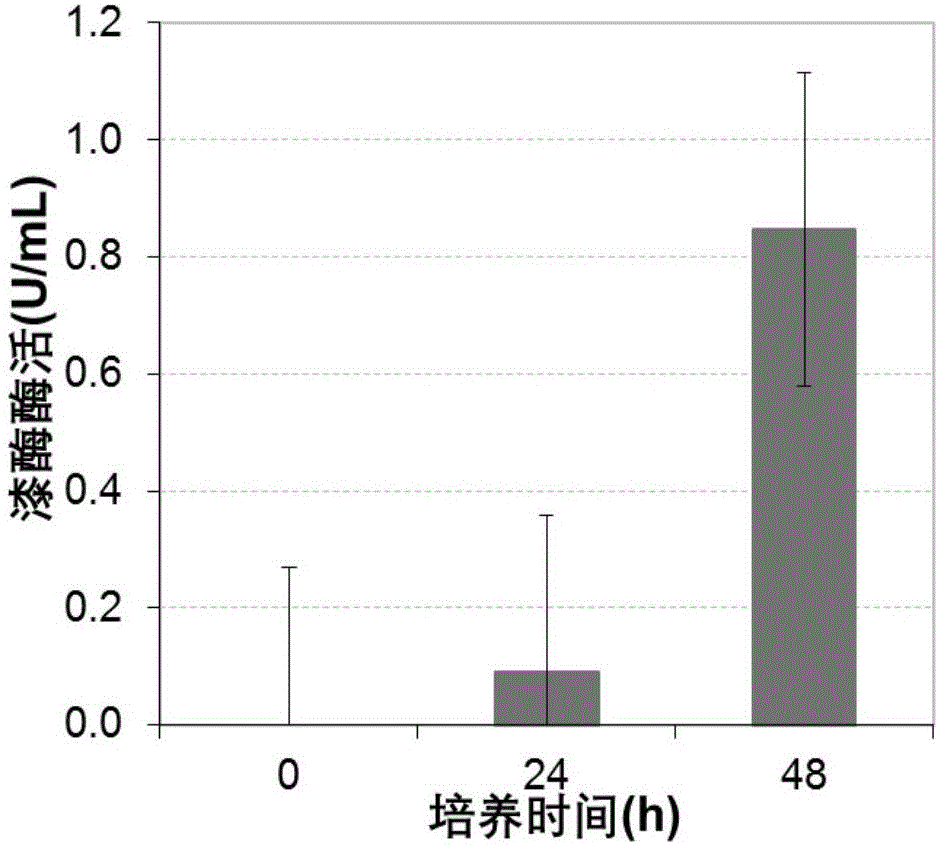 Method for degrading sulfonamide compound by using pycnoporus sanguineus