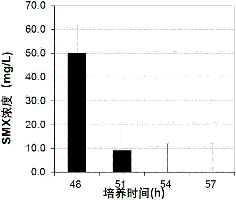 Method for degrading sulfonamide compound by using pycnoporus sanguineus