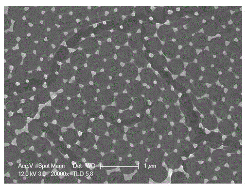 Compound base of precious metal nanometer array and single layer graphene and preparation method thereof