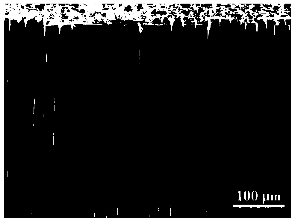 Chinese fir carbon sheet electrode material based on carbon nanotubes and manganese dioxide and preparation method thereof, and super capacitor