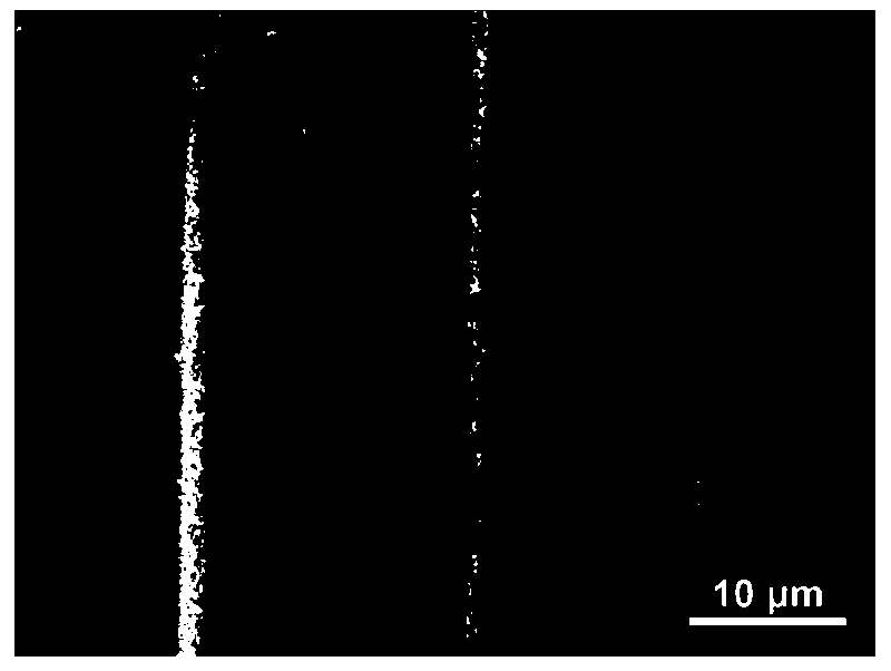 Chinese fir carbon sheet electrode material based on carbon nanotubes and manganese dioxide and preparation method thereof, and super capacitor