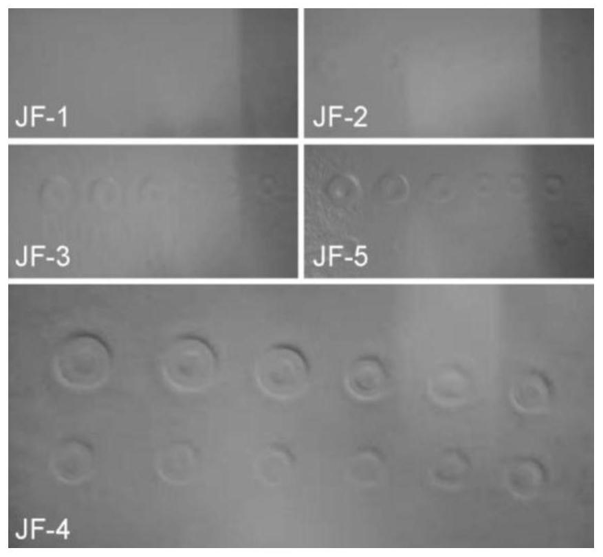 Anti curling low solidification rate pu resin and preparation method thereof