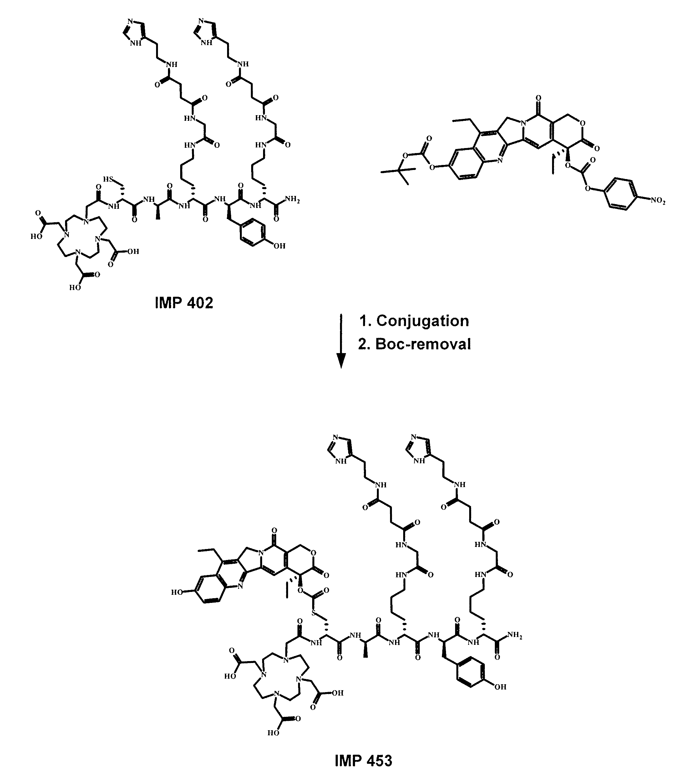 Delivery System for Cytotoxic Drugs by Bispecific Antibody Pretargeting