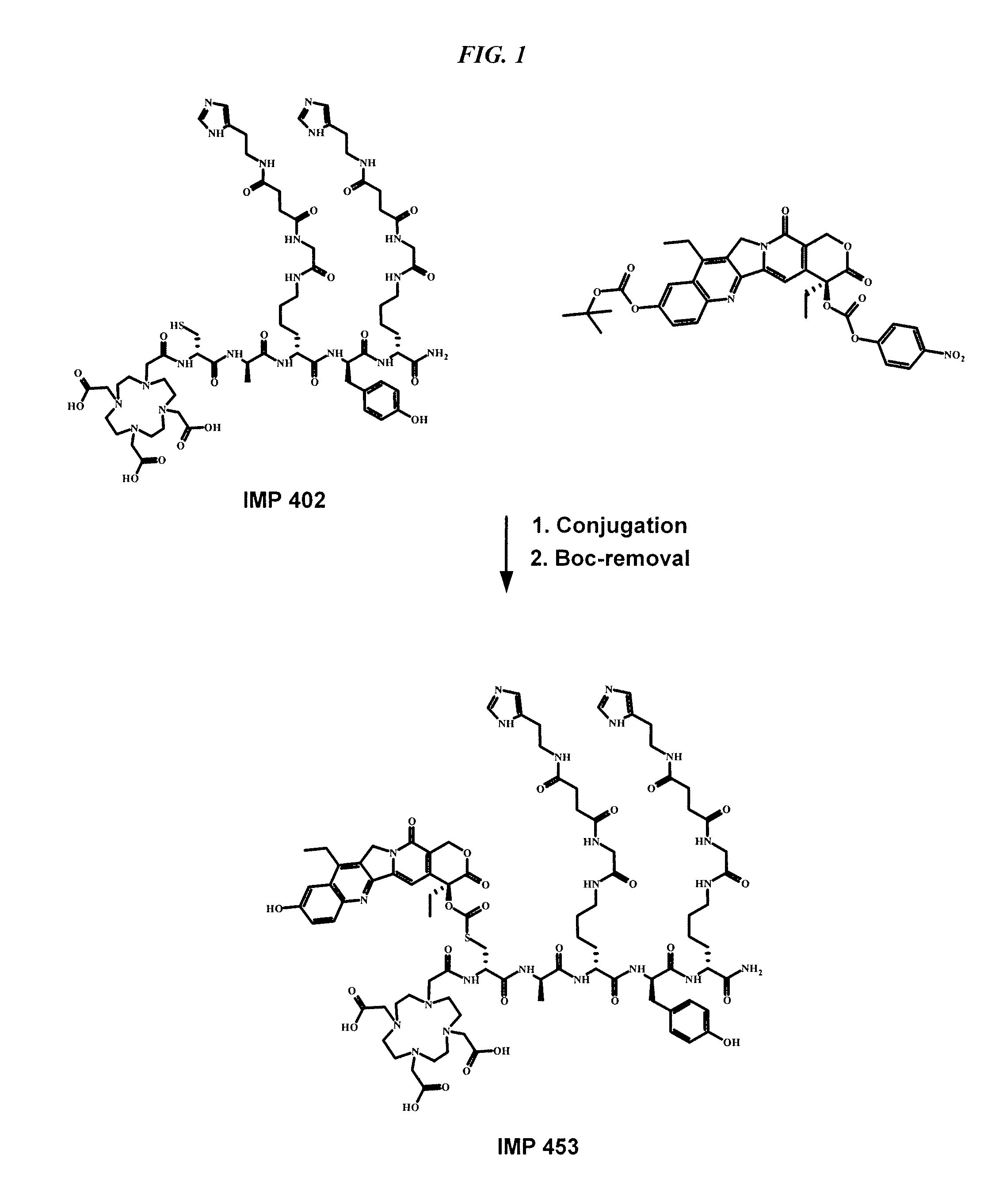 Delivery System for Cytotoxic Drugs by Bispecific Antibody Pretargeting