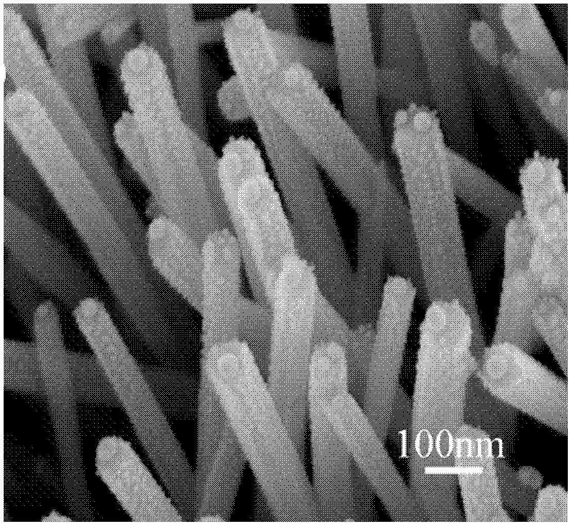 Method for preparing ZnO nano-array composite system modified by gold nanoparticles