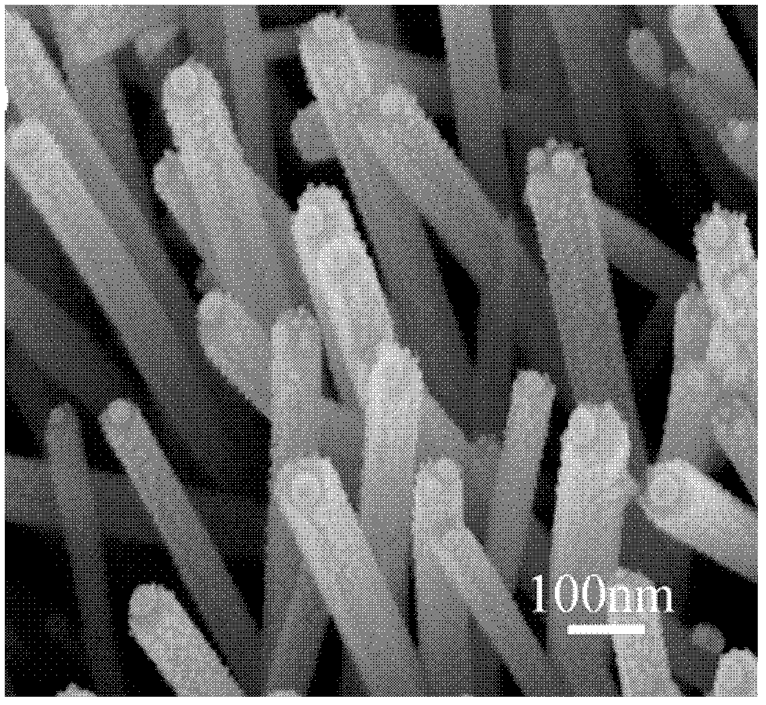 Method for preparing ZnO nano-array composite system modified by gold nanoparticles