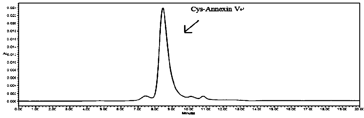 Method for labeling Cys-Annexin V with &lt;18&gt;F and application of &lt;18&gt;F-FBEM-Cys-Annexin V