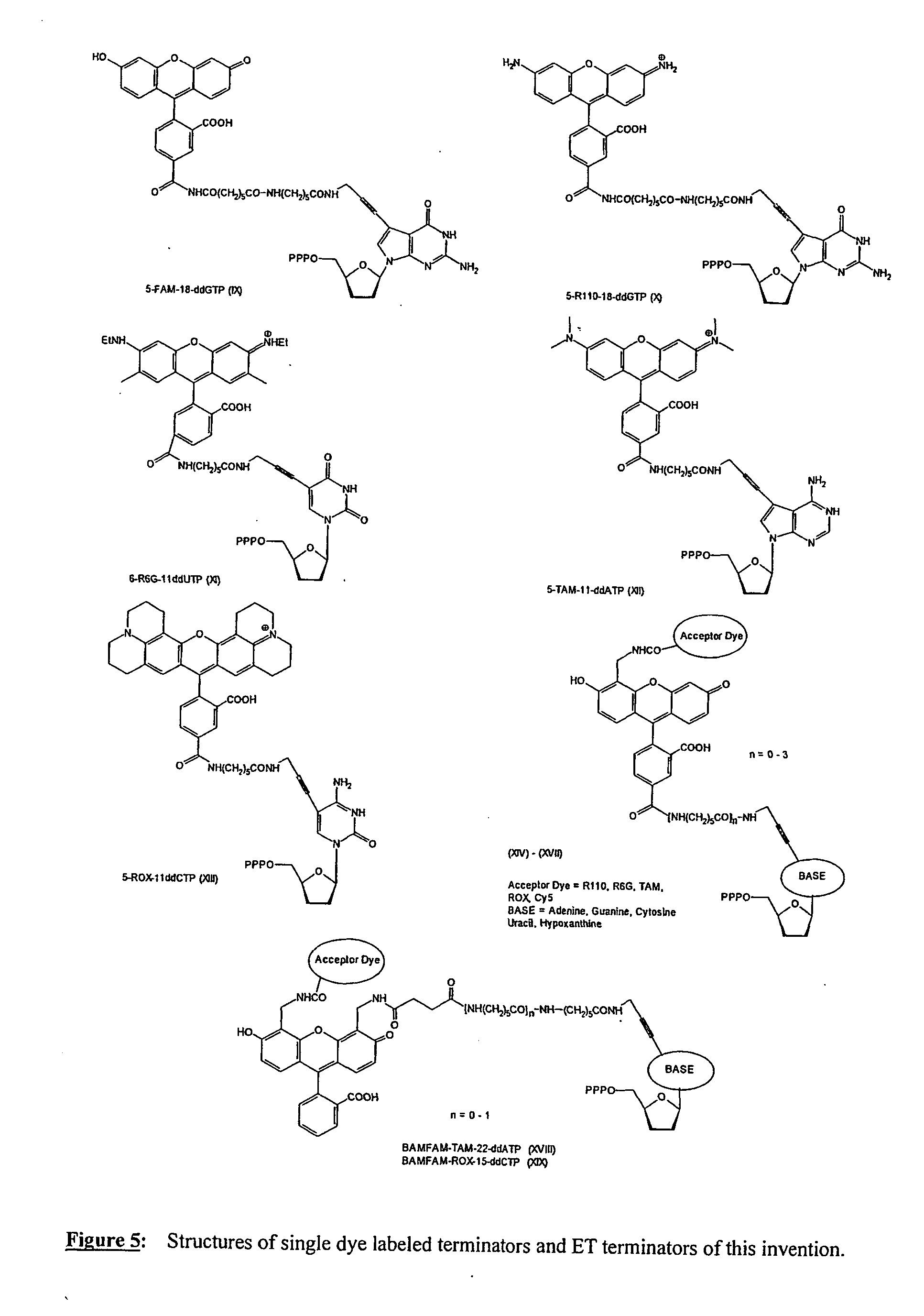 Energy transfer dyes, terminators and use thereof