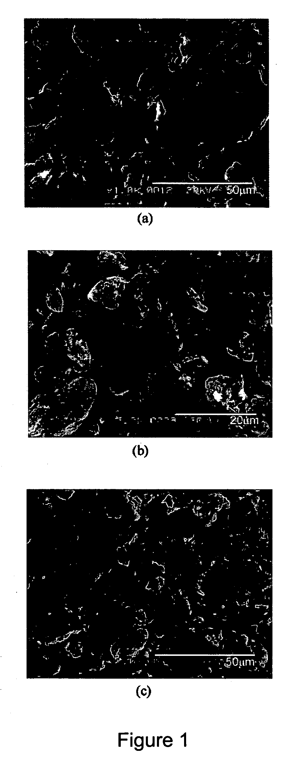 Synthesis of thermoplastic polyurethane composites