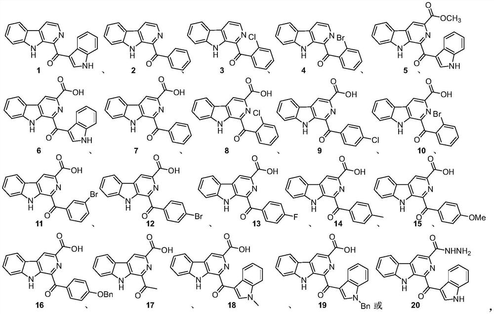 Application of Pityriacitrin alkaloid and derivative thereof in resisting plant viruses and pathogenic bacteria