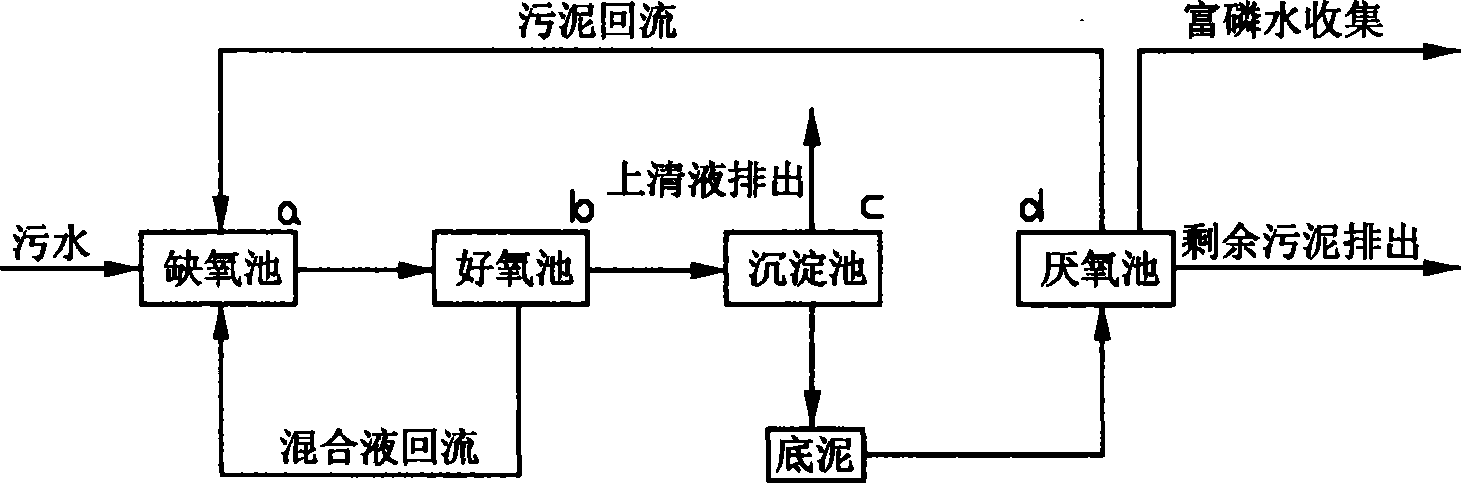 Composite biological film activated sludge denitrification dephosphorization denitrification method and reactor thereof