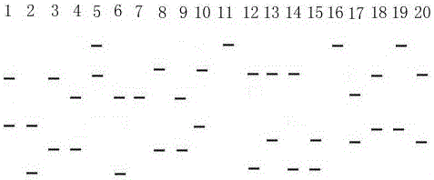 Sinkiang Alaska grayling heritable variation detection method utilizing microsatellite marker Thymalag