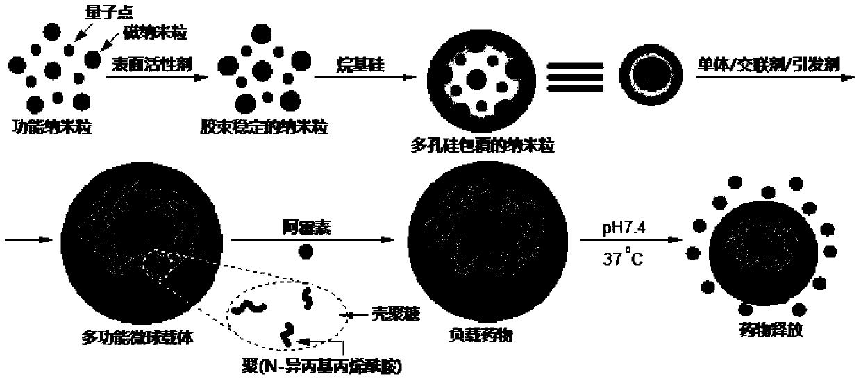 Preparation method of multifunctional medicine carrier integrating magnetism, fluorescence and thermosensitivity