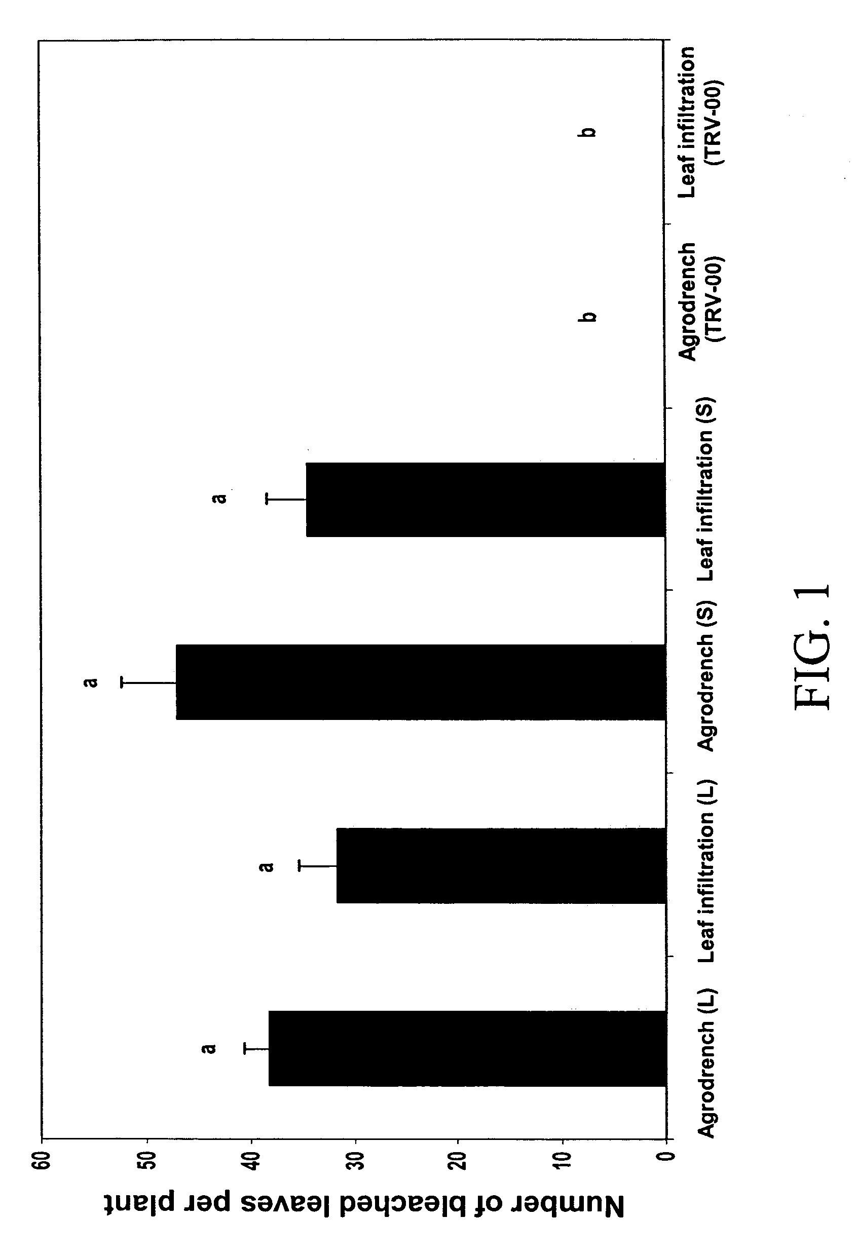 Agroinoculation method for virus induced gene silencing