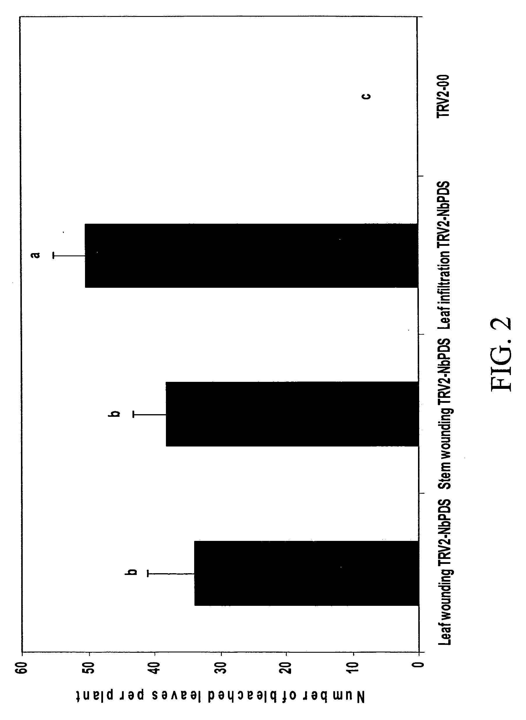 Agroinoculation method for virus induced gene silencing