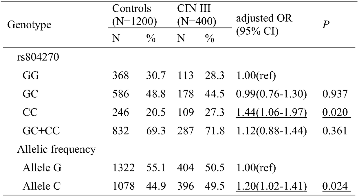 Molecular marker for detecting susceptibility of cervical cancer, kit and application