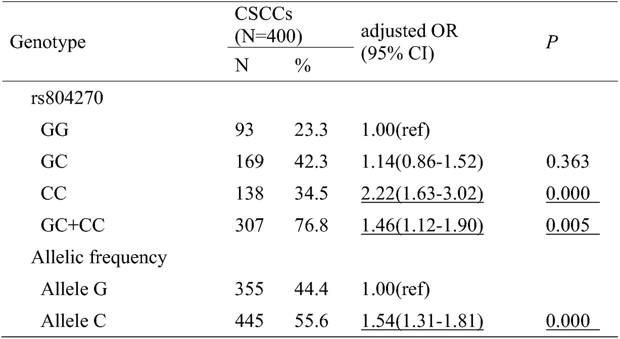 Molecular marker for detecting susceptibility of cervical cancer, kit and application