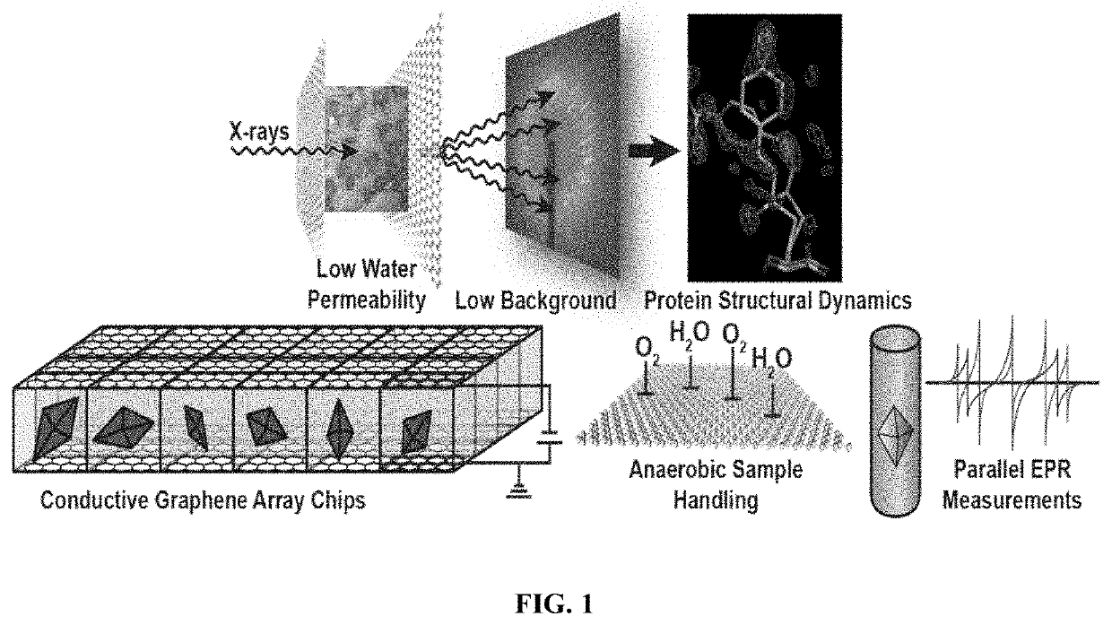 Graphene-based electro-microfluidic devices and methods for protein structural analysis