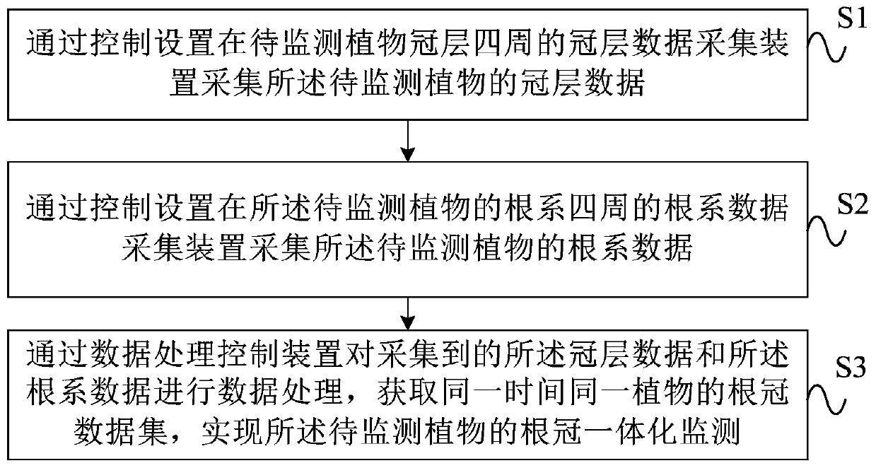 Plant root and cap integrated monitoring system and method