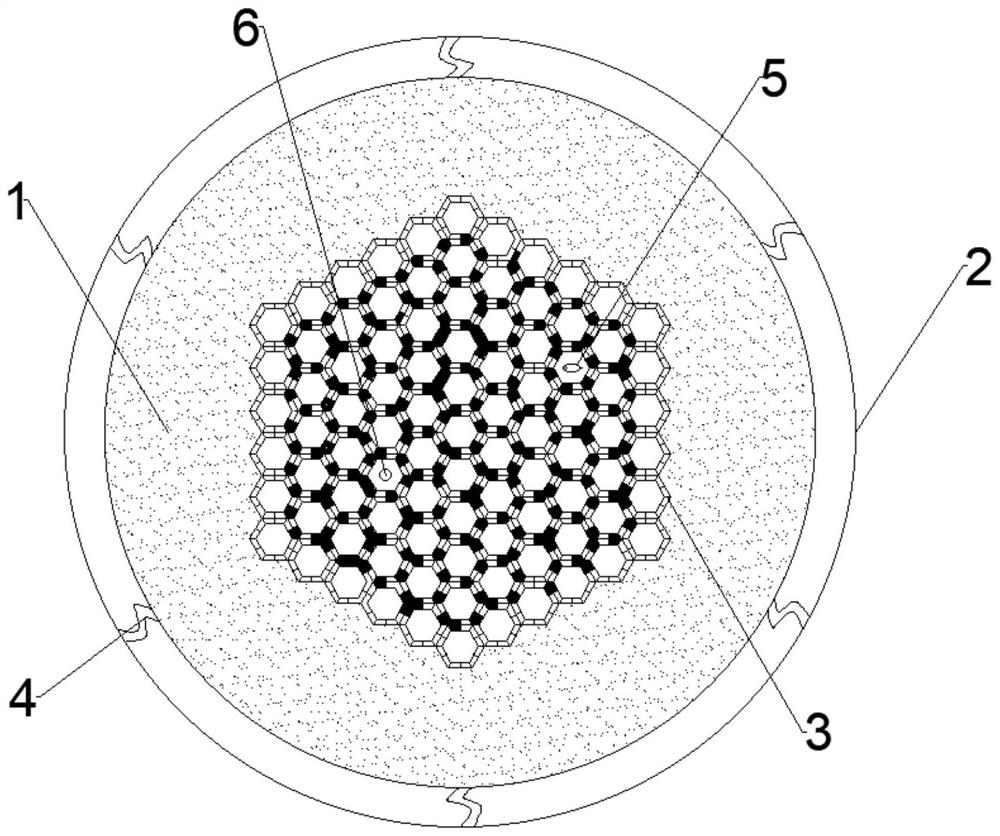 Honeycomb type electric shock maze device replacing water maze and video analysis system