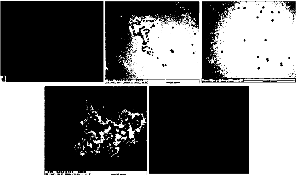 Preparation method and application of nano material monolithic column immobilized enzyme biological micro-reactor