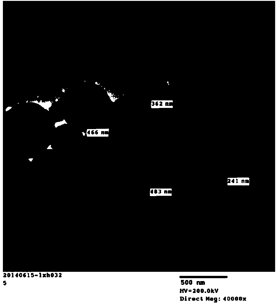 Preparation method and application of nano material monolithic column immobilized enzyme biological micro-reactor