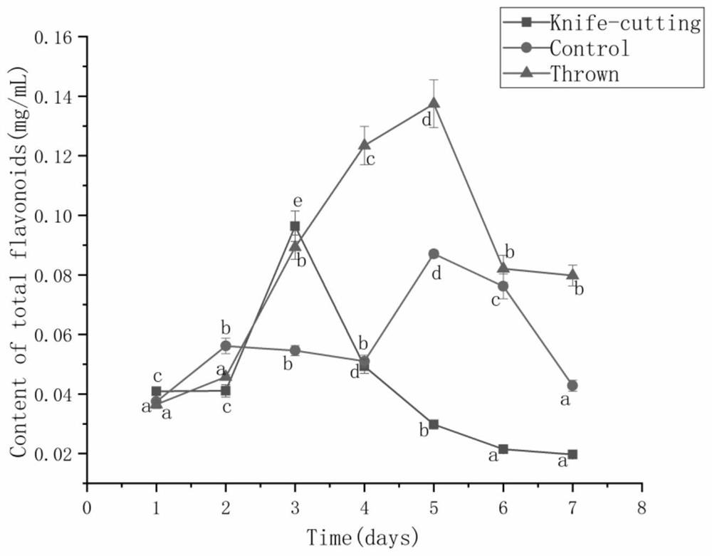 Method for increasing yield of flavonoid compounds in young golden pomelo fruits