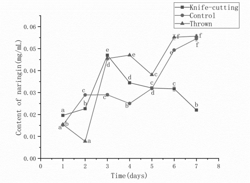 Method for increasing yield of flavonoid compounds in young golden pomelo fruits